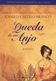 Capa do livro A Queda de um Anjo