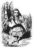 Alice embala o bebé, ou o porquinho. Alice embala o bebé