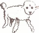desenho de uma ovelha