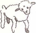 desenho de mais outra ovelha